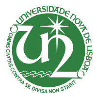 Universidade Nova De Lisboa Logo